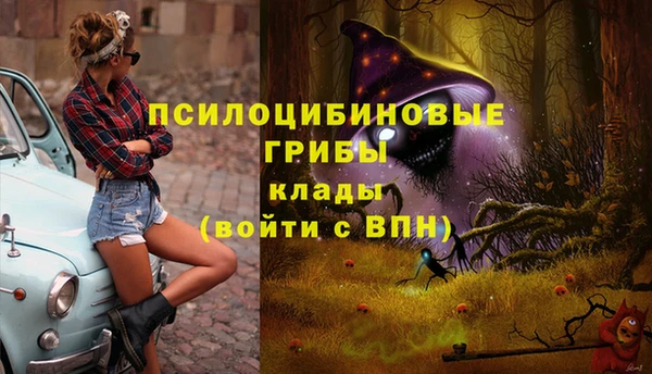 дурь Володарск